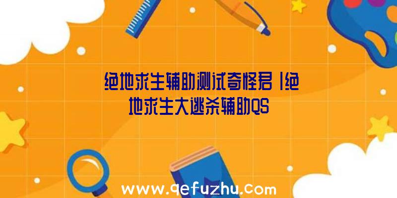 「绝地求生辅助测试奇怪君」|绝地求生大逃杀辅助QS